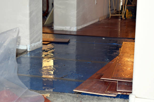 Professional Basement Flood Cleanup technician working in Lynnwood, WA